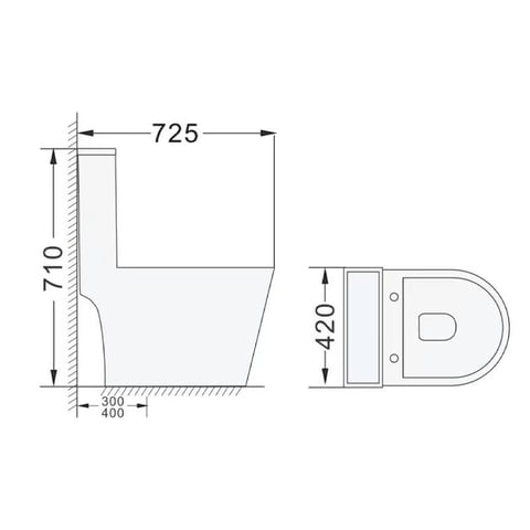 dual flush one piece toilet