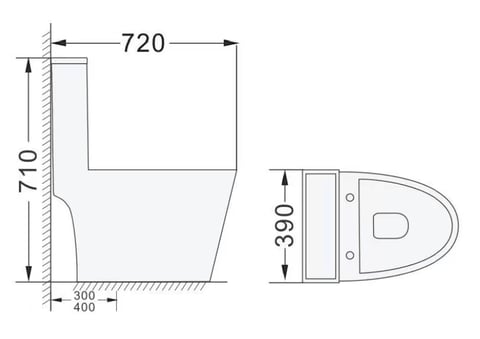 toilet one piece dual flush