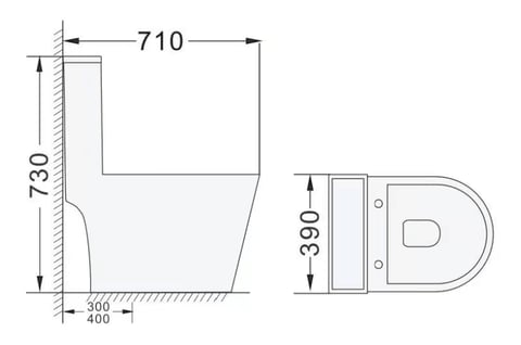 white one piece toilet