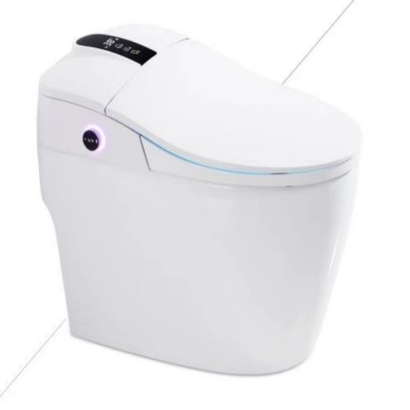 Multi-function Smart Toilet