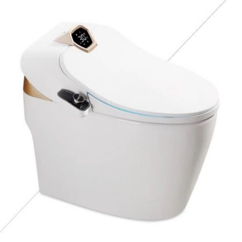 Modern One Piece Smart Toilet