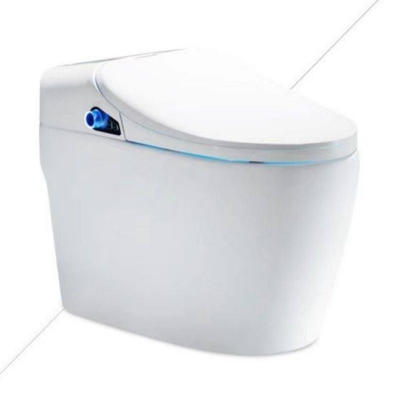 Tankless Multifunctional Intelligent Toilet