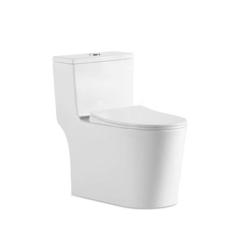 dual flush one piece toilet