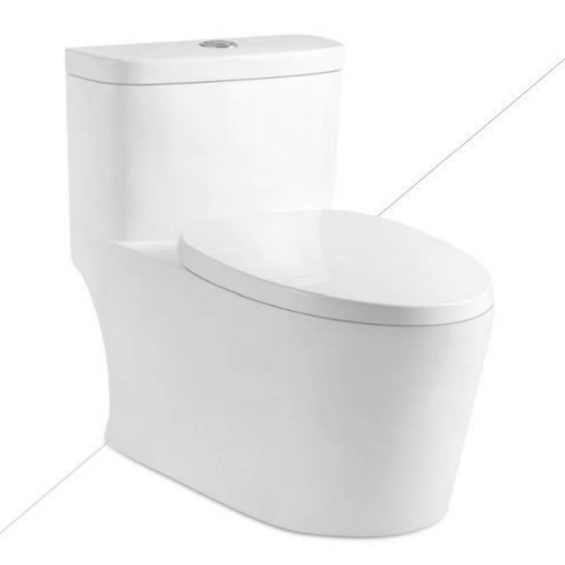 toilet one piece dual flush