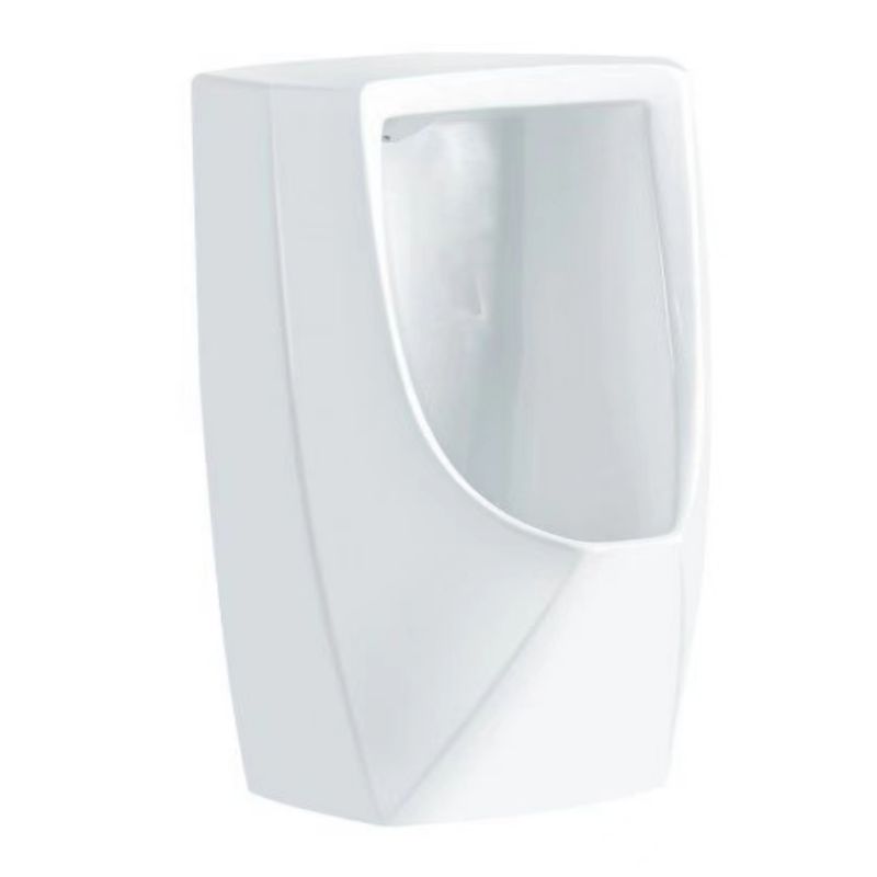 Men's wall mounted flush urinal