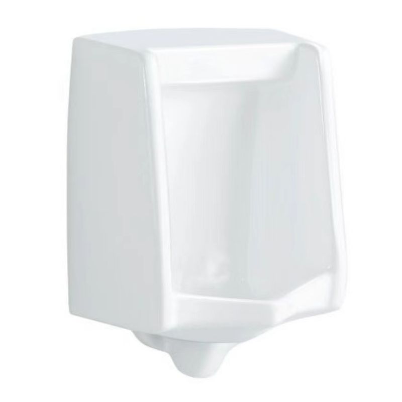 Superior Appearance Urinal