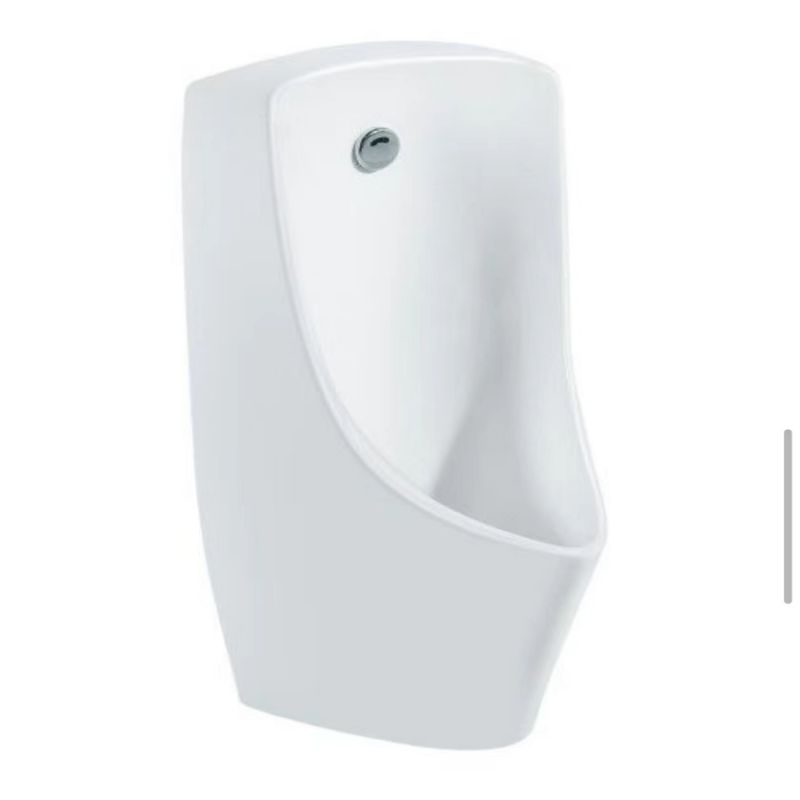 Wall-mounted toilet urinal