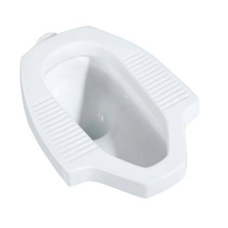 Simple White Squatting Toilet